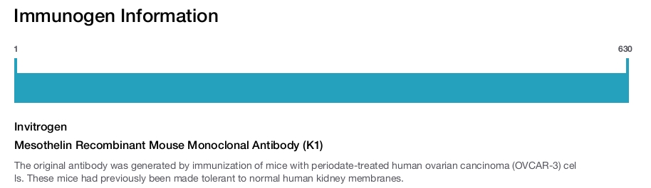 Mesothelin Recombinant Mouse Monoclonal Antibody (K1)