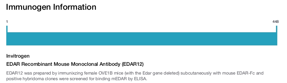 EDAR Recombinant Mouse Monoclonal Antibody (EDAR12)