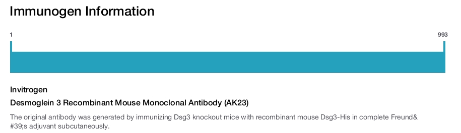Desmoglein 3 Recombinant Mouse Monoclonal Antibody (AK23)
