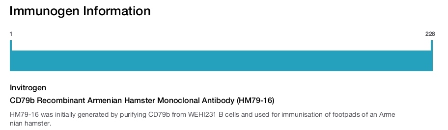 CD79b Recombinant Armenian Hamster Monoclonal Antibody (HM79-16)