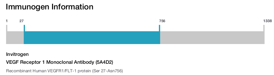 VEGF Receptor 1 Monoclonal Antibody (5A4D2)