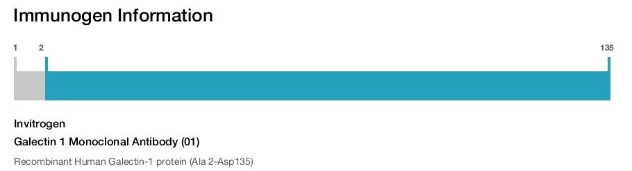 Galectin 1 Monoclonal Antibody (01)
