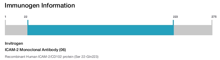 ICAM-2 Monoclonal Antibody (06)