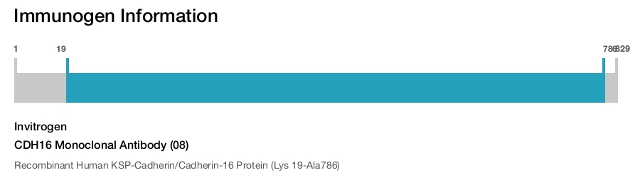 CDH16 Monoclonal Antibody (08)