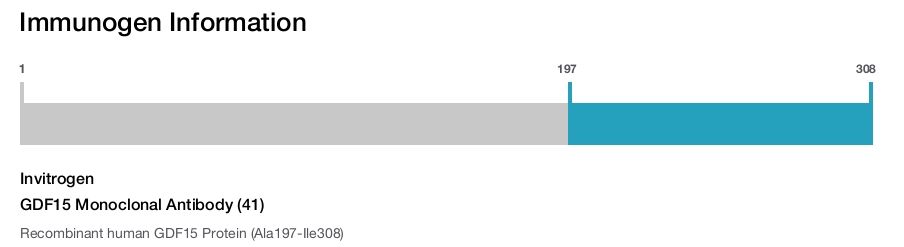 GDF15 Monoclonal Antibody (41)