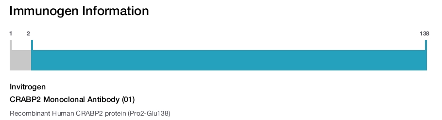 CRABP2 Monoclonal Antibody (01)