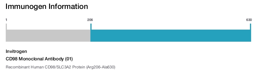 CD98 Monoclonal Antibody (01)