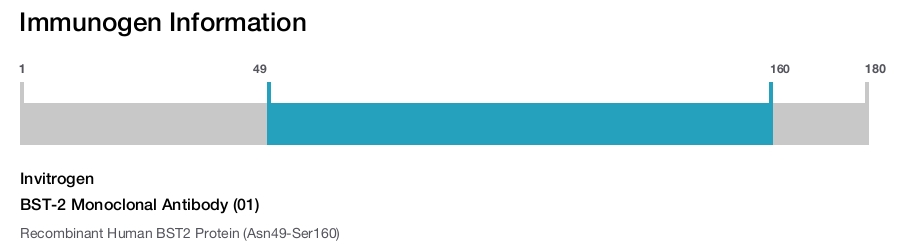 BST-2 Monoclonal Antibody (01)