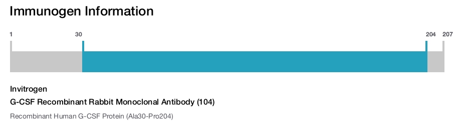 G-CSF Recombinant Rabbit Monoclonal Antibody (104)