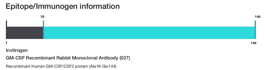 GM-CSF Recombinant Rabbit Monoclonal Antibody (027)