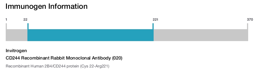 CD244 Recombinant Rabbit Monoclonal Antibody (020)