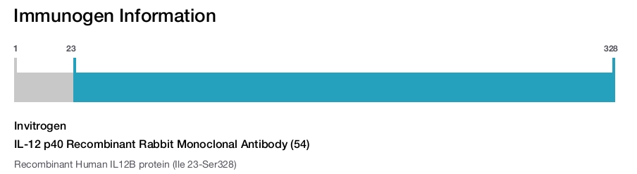IL-12 p40 Recombinant Rabbit Monoclonal Antibody (54)