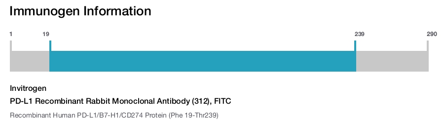 PD-L1 Recombinant Rabbit Monoclonal Antibody (312), FITC