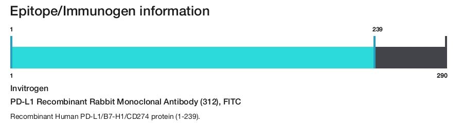 PD-L1 Recombinant Rabbit Monoclonal Antibody (312), FITC
