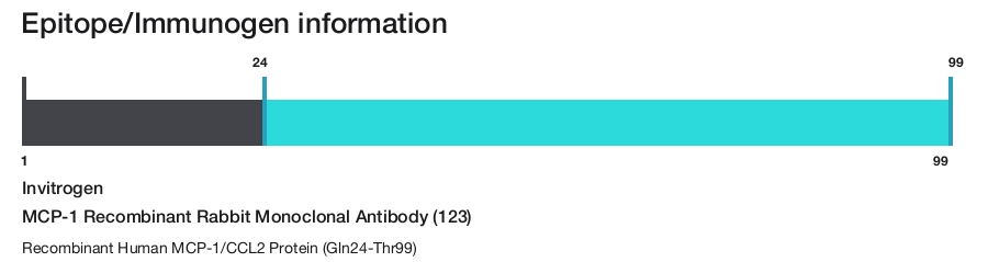 MCP-1 Recombinant Rabbit Monoclonal Antibody (123)