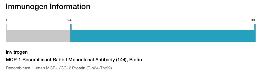 MCP-1 Recombinant Rabbit Monoclonal Antibody (144), Biotin
