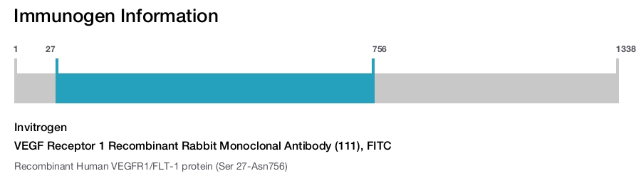 VEGF Receptor 1 Recombinant Rabbit Monoclonal Antibody (111), FITC