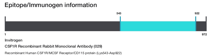 CSF1R Recombinant Rabbit Monoclonal Antibody (029)