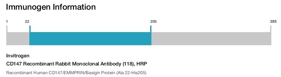 CD147 Recombinant Rabbit Monoclonal Antibody (118), HRP