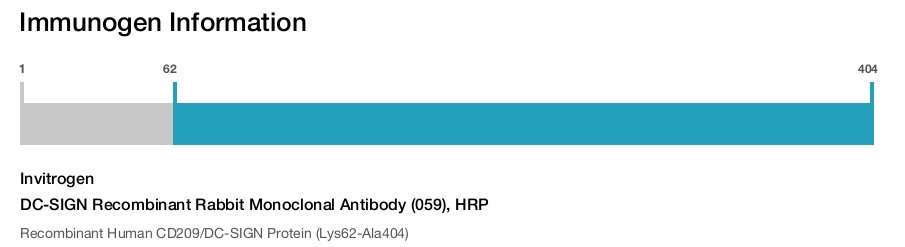 DC-SIGN Recombinant Rabbit Monoclonal Antibody (059), HRP