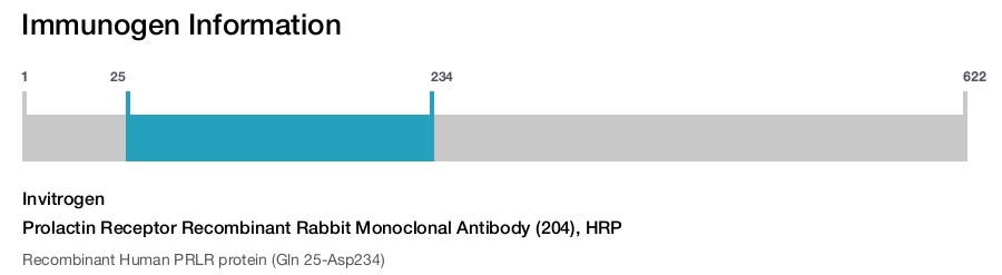 Prolactin Receptor Recombinant Rabbit Monoclonal Antibody (204), HRP