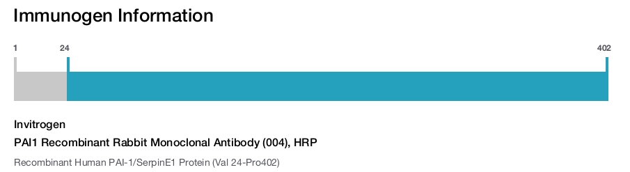 PAI1 Recombinant Rabbit Monoclonal Antibody (004), HRP