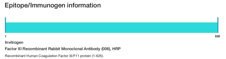 Factor XI Recombinant Rabbit Monoclonal Antibody (006), HRP
