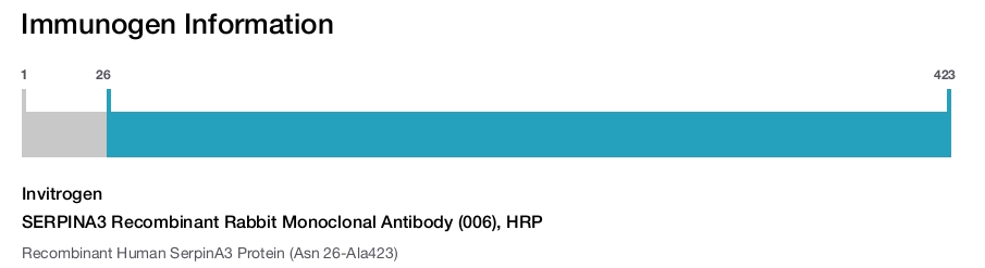 SERPINA3 Recombinant Rabbit Monoclonal Antibody (006), HRP