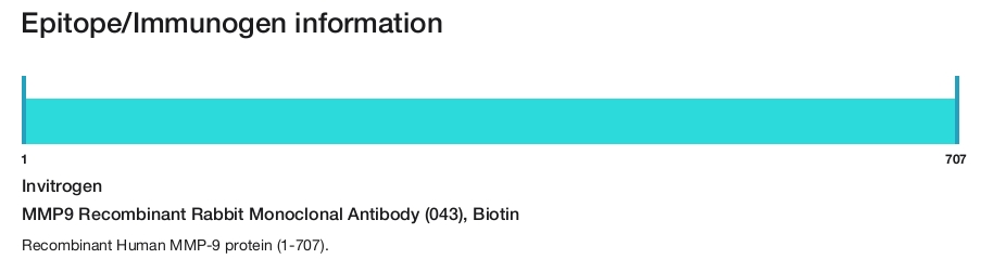 MMP9 Recombinant Rabbit Monoclonal Antibody (043), Biotin