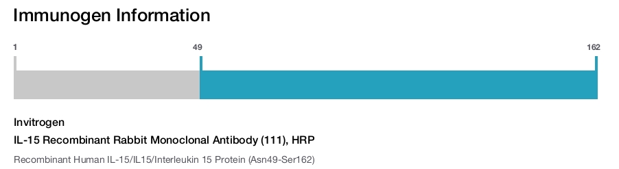 IL-15 Recombinant Rabbit Monoclonal Antibody (111), HRP