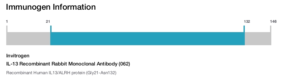 IL-13 Recombinant Rabbit Monoclonal Antibody (062)