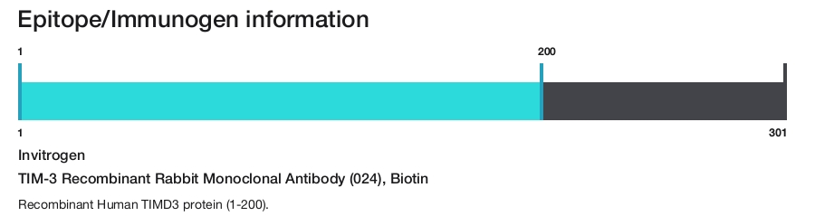 TIM-3 Recombinant Rabbit Monoclonal Antibody (024), Biotin