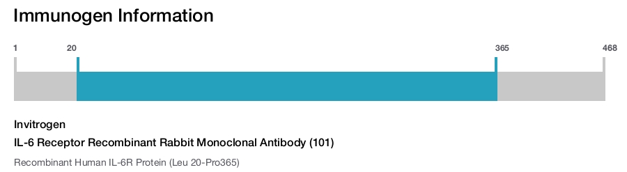 IL-6 Receptor Recombinant Rabbit Monoclonal Antibody (101)