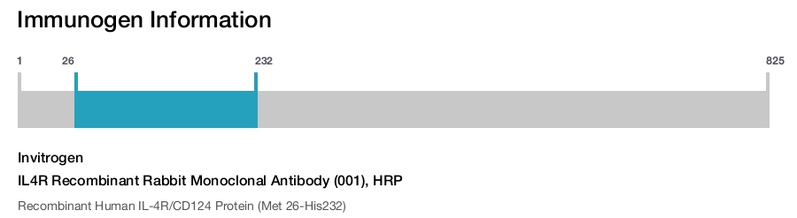 IL4R Recombinant Rabbit Monoclonal Antibody (001), HRP