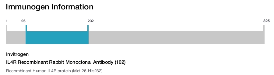 IL4R Recombinant Rabbit Monoclonal Antibody (102)