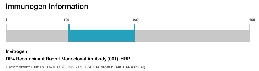 DR4 Recombinant Rabbit Monoclonal Antibody (001), HRP