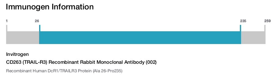 CD263 (TRAIL-R3) Recombinant Rabbit Monoclonal Antibody (002)