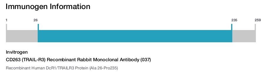 CD263 (TRAIL-R3) Recombinant Rabbit Monoclonal Antibody (037)