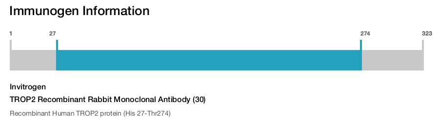 TROP2 Recombinant Rabbit Monoclonal Antibody (30)