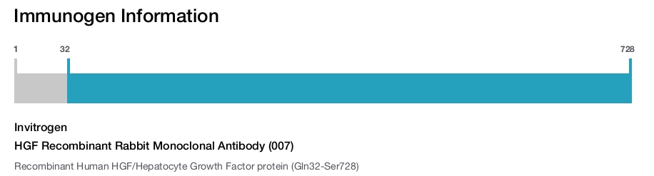 HGF Recombinant Rabbit Monoclonal Antibody (007)