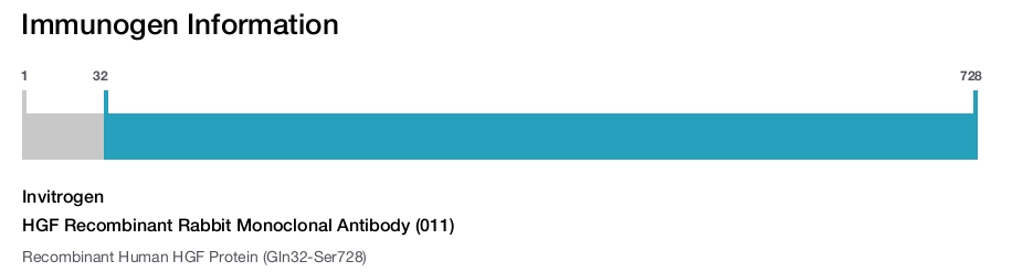HGF Recombinant Rabbit Monoclonal Antibody (011)