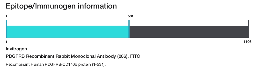 PDGFRB Recombinant Rabbit Monoclonal Antibody (206), FITC