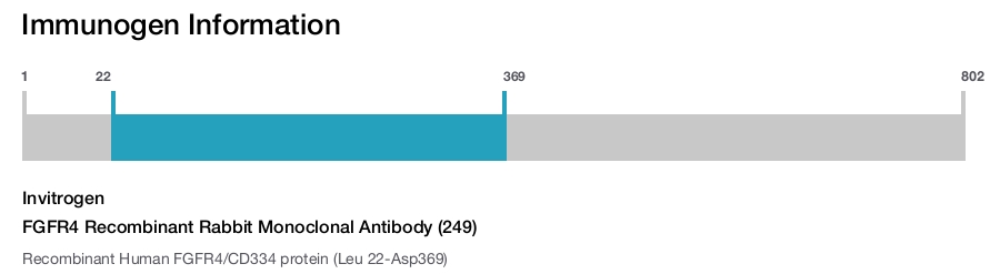 FGFR4 Recombinant Rabbit Monoclonal Antibody (249)