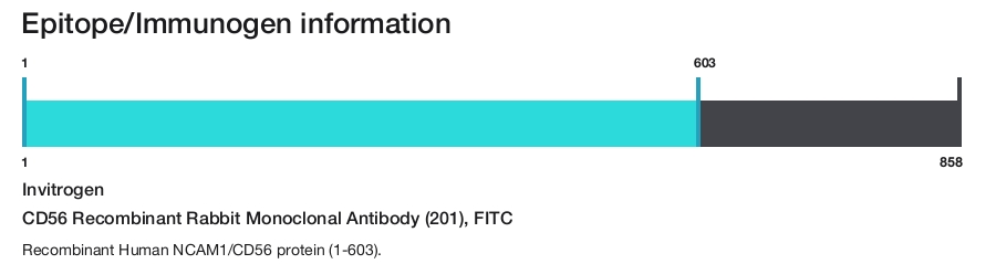 CD56 Recombinant Rabbit Monoclonal Antibody (201), FITC