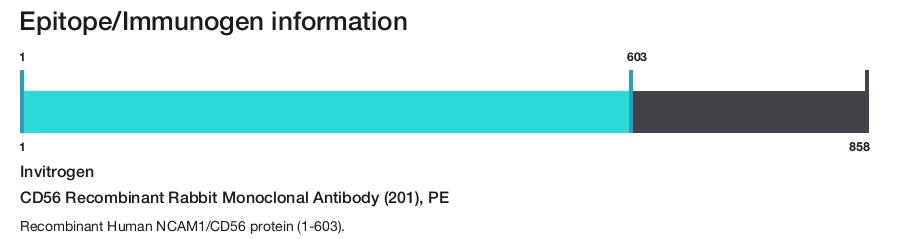 CD56 Recombinant Rabbit Monoclonal Antibody (201), PE