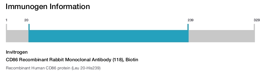 CD86 Recombinant Rabbit Monoclonal Antibody (118), Biotin