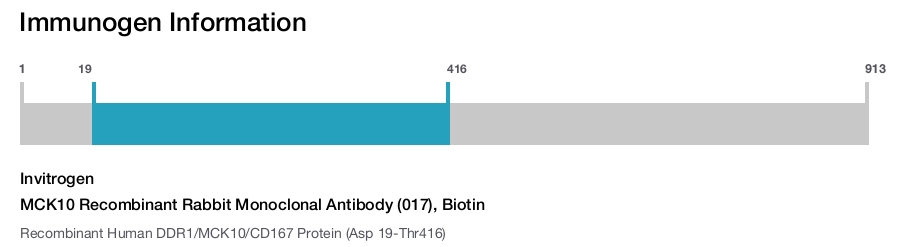 MCK10 Recombinant Rabbit Monoclonal Antibody (017), Biotin