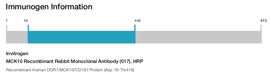 MCK10 Recombinant Rabbit Monoclonal Antibody (017), HRP