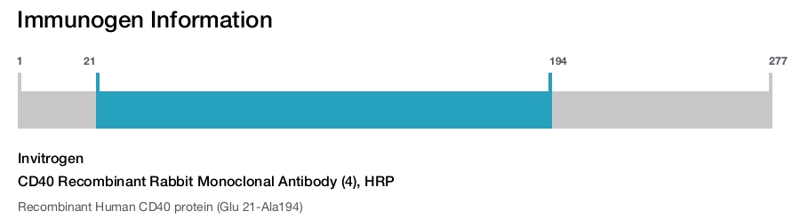CD40 Recombinant Rabbit Monoclonal Antibody (4), HRP