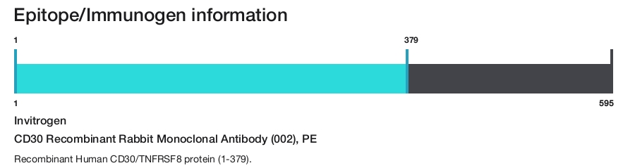 CD30 Recombinant Rabbit Monoclonal Antibody (002), PE